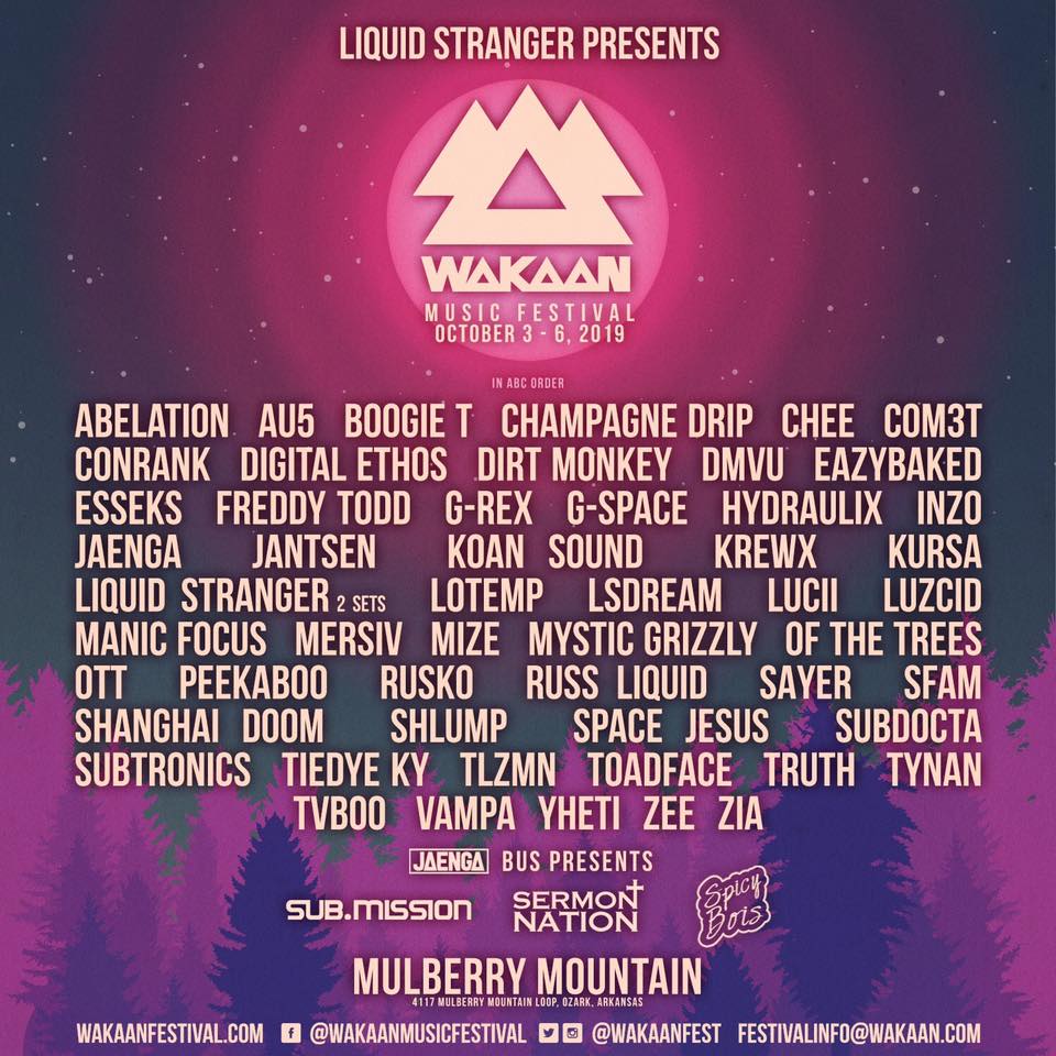 The First Wakaan Festival - 2019 - The Chronic Electronic